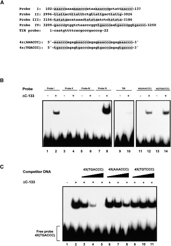 Figure 4.