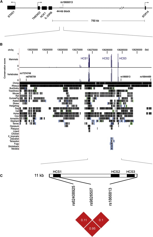 Figure 1