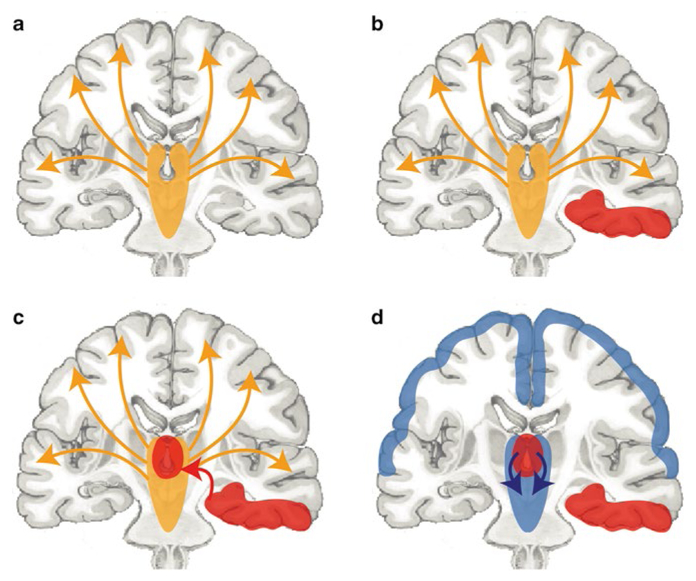 Fig. 5.2