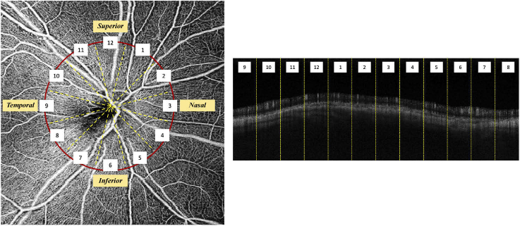 Fig. 8.