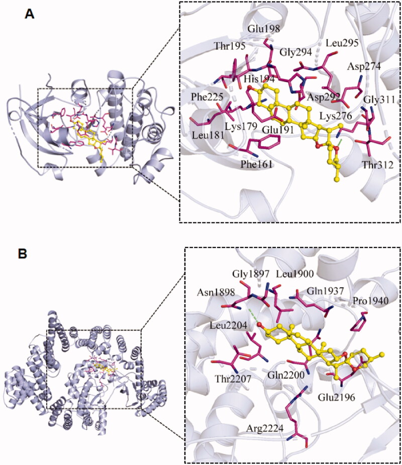 Figure 7.