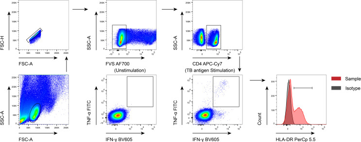 Figure 1