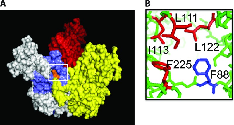 Fig 3