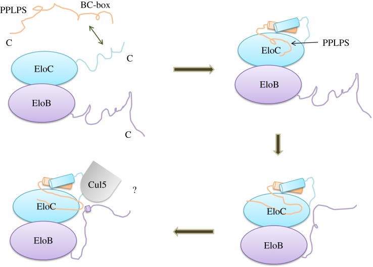 Figure 7.