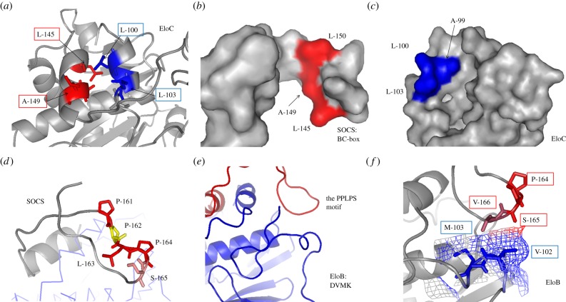 Figure 5.