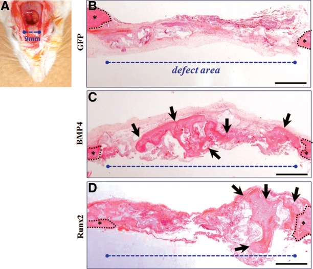 FIG. 6.