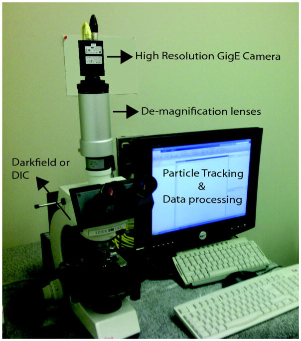 Figure 5