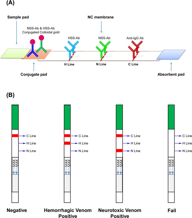 Fig 6