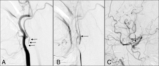 Fig 1.