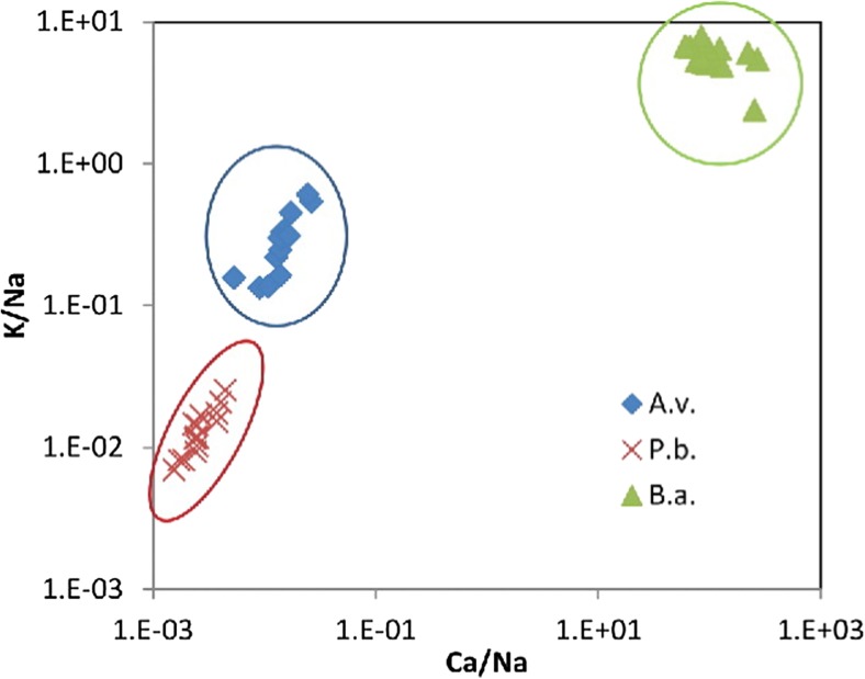 Fig. 7