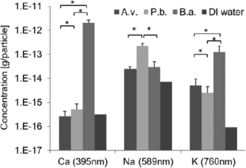 Fig. 6