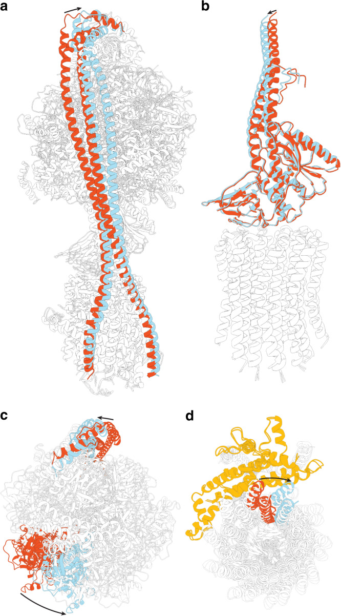 Fig. 2