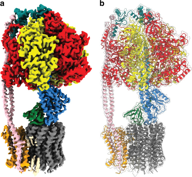 Fig. 1