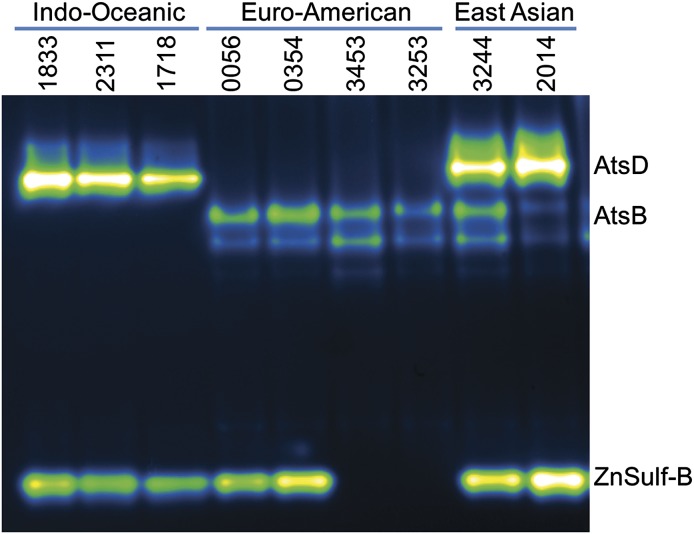 Fig. 6.