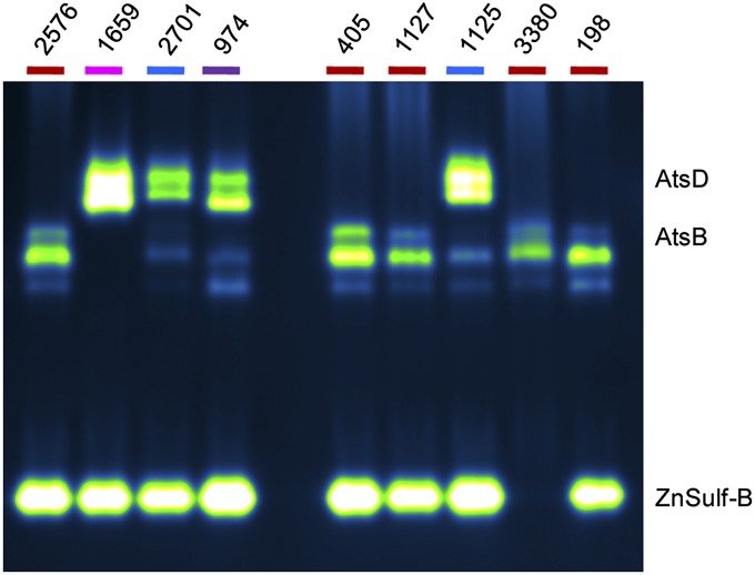 Fig. 7.