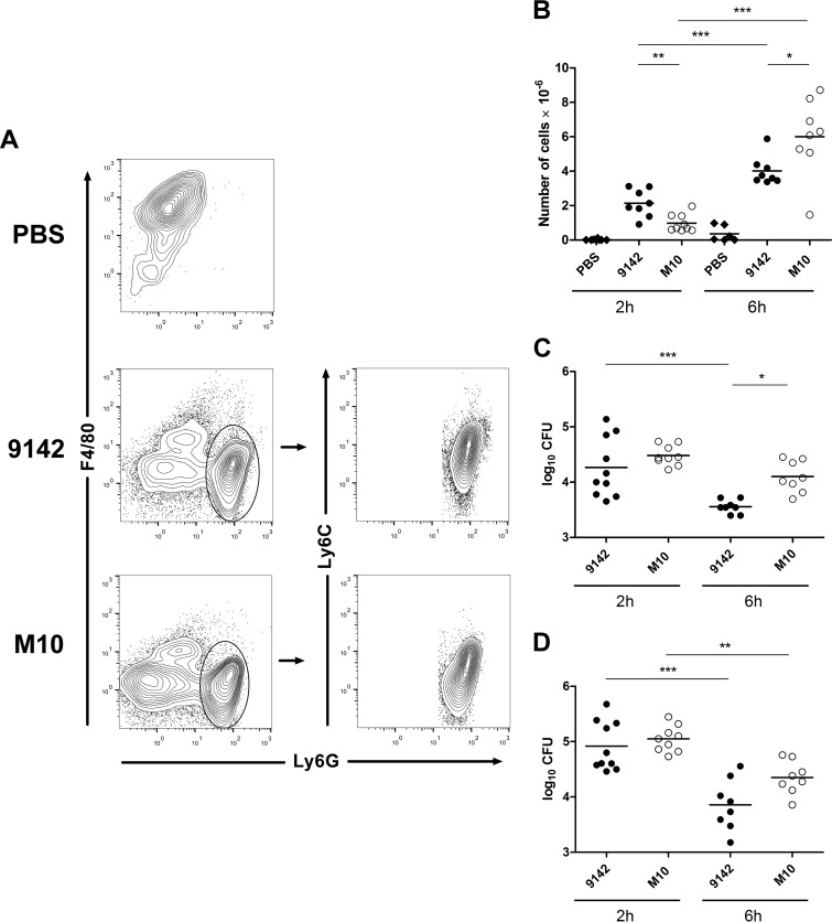 FIG 2