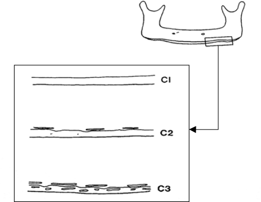 Fig 1.