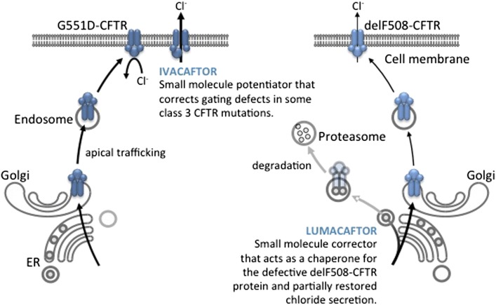 Figure 4 – 