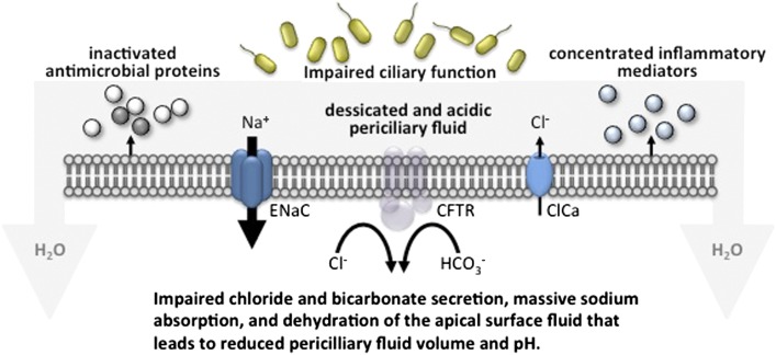 Figure 1 – 