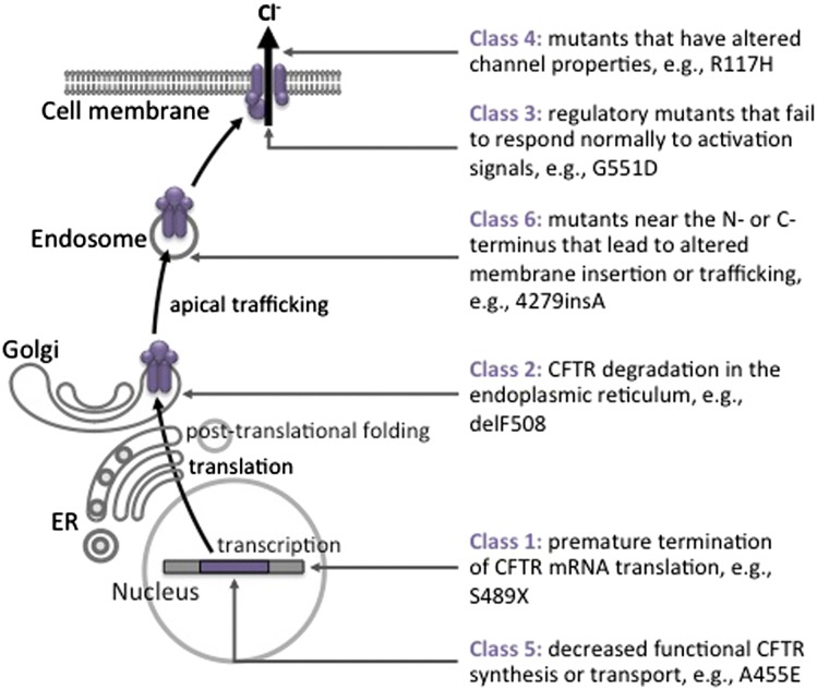 Figure 2 – 