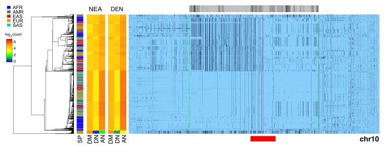 Figure 3—figure supplement 3.