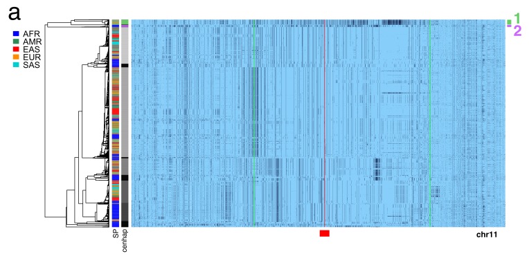 Figure 3—figure supplement 1.