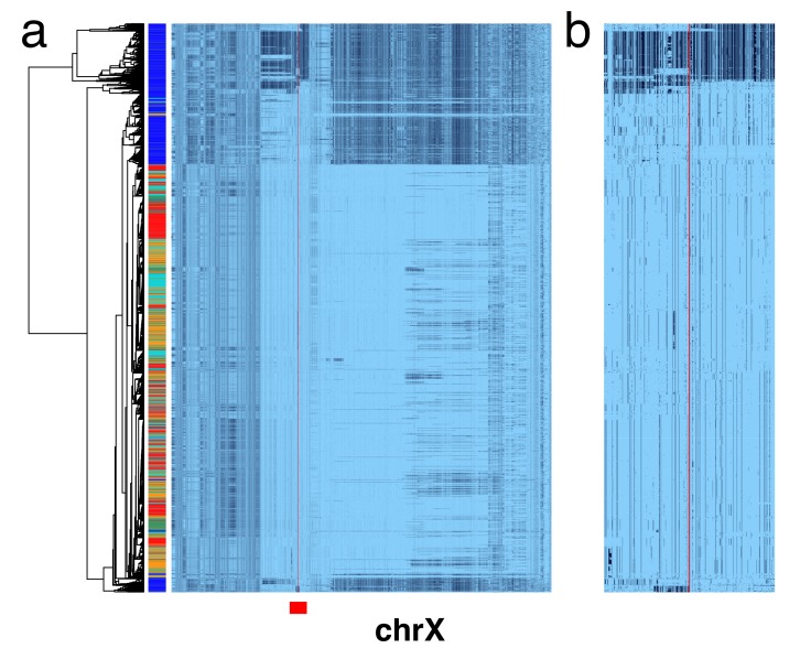 Figure 1—figure supplement 1.