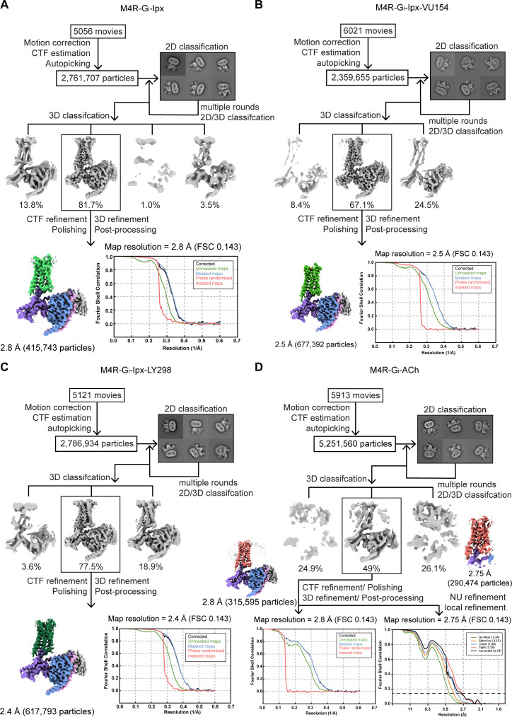 Figure 2—figure supplement 2.