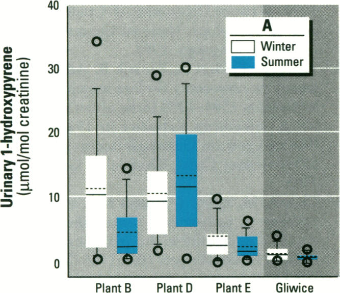 Figure 3. A