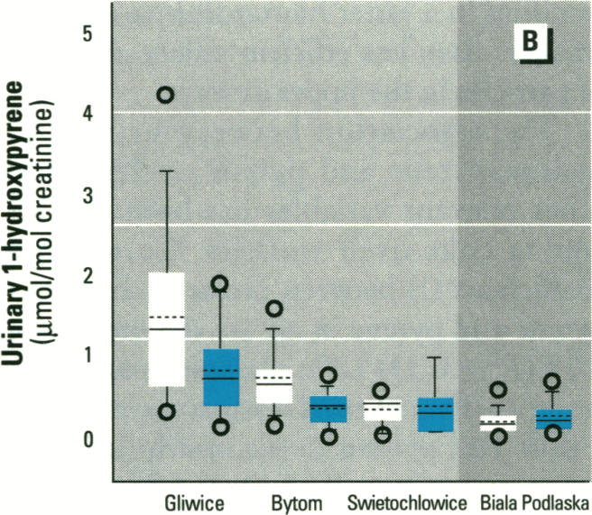 Figure 3. B