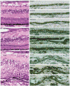 Fig. 14