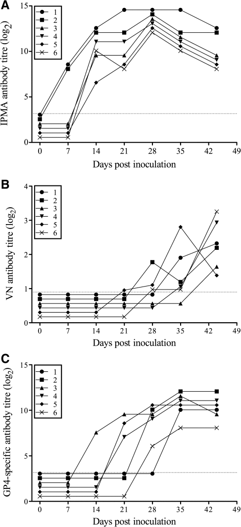 FIG. 1.