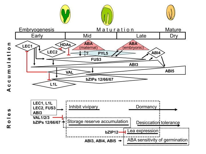 Figure 6.