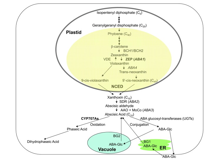 Figure 3.