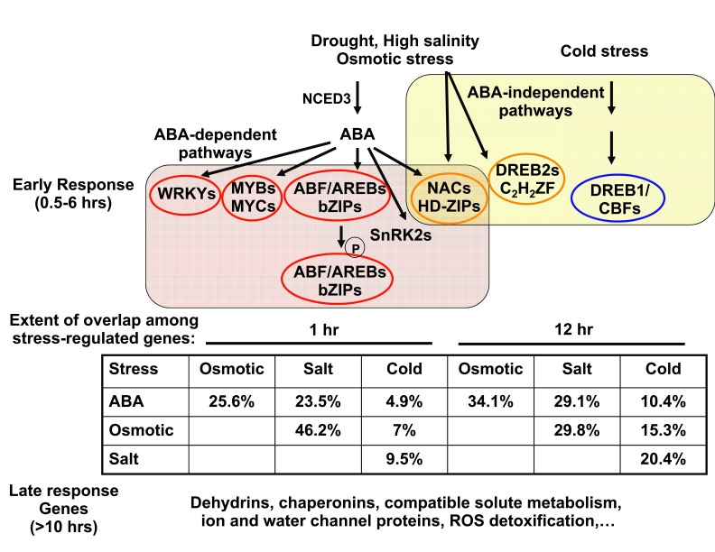 Figure 9.