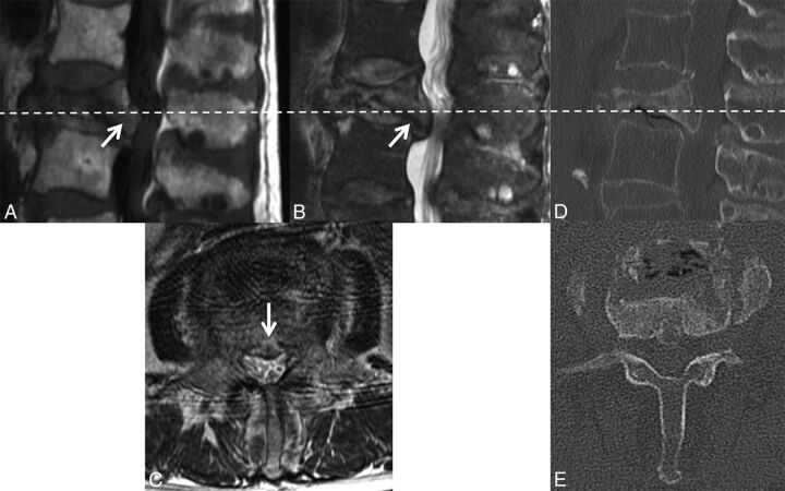 Fig 6.