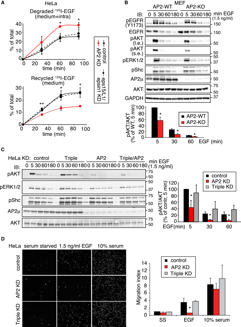 Figure 6