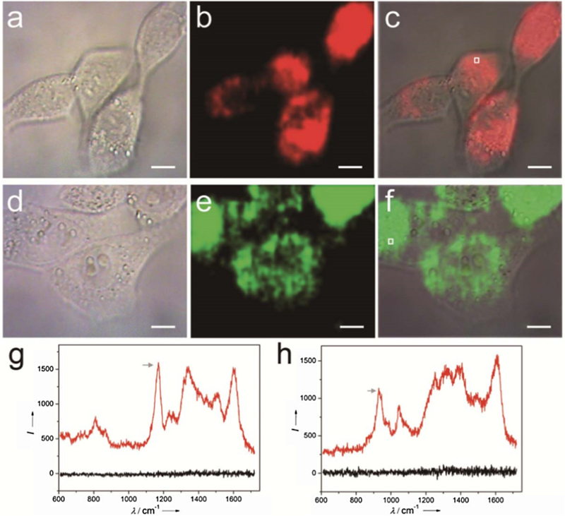 Fig. 14.