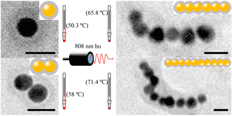 Fig. 11.