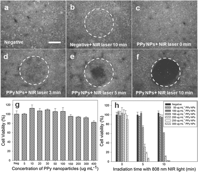 Fig. 10.