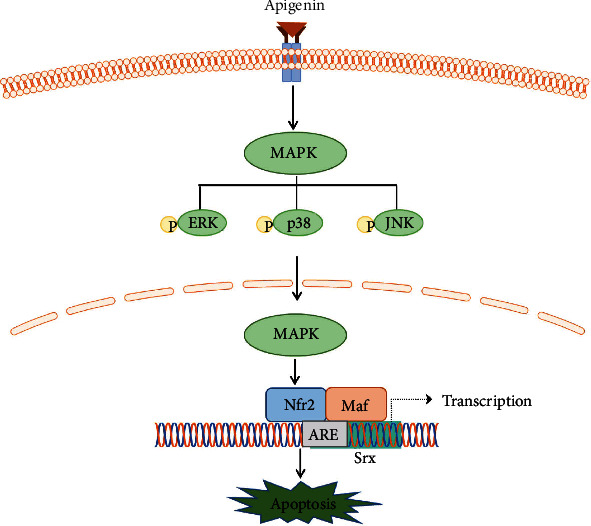 Figure 6