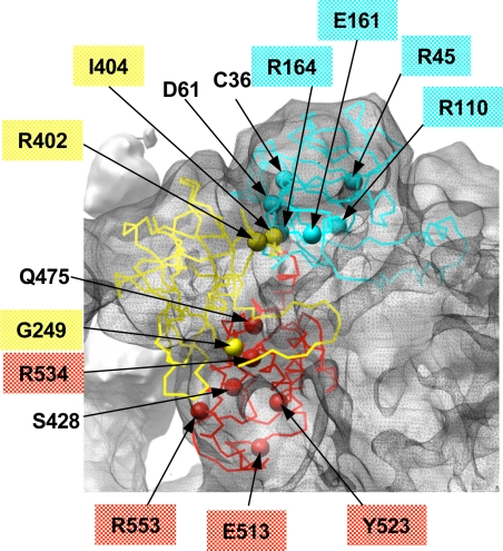 Fig. 4.