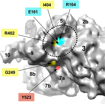 Fig. 5.