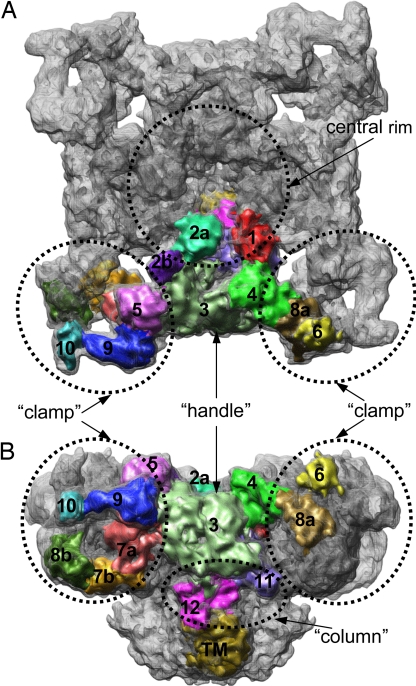 Fig. 1.