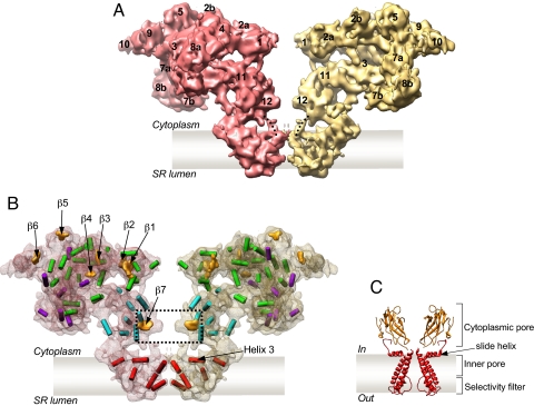 Fig. 2.