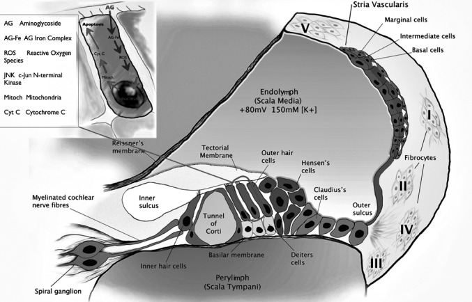 Fig. 3.