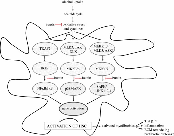 Fig. 11