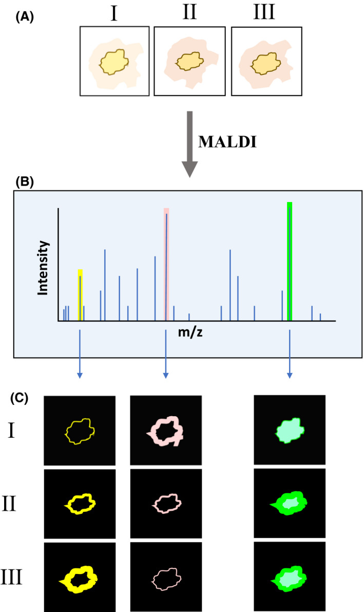 Fig. 2