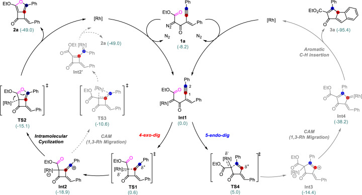 Fig. 8