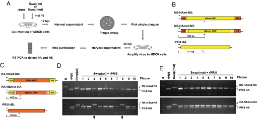 Fig. 4.